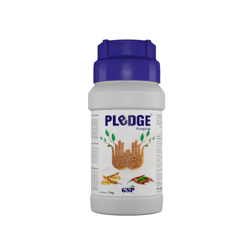 Pledge