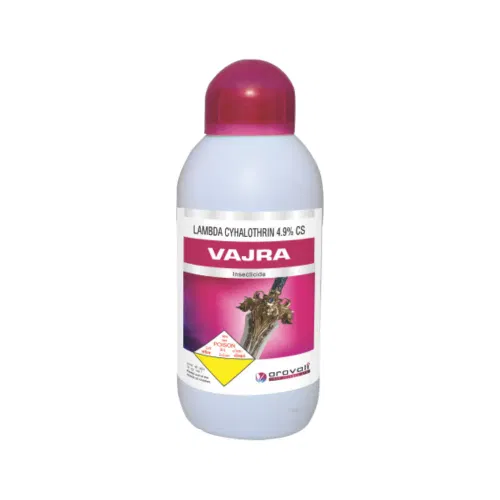 Vajra