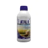 Atal-G