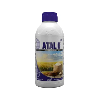 Atal-G