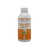 Santri