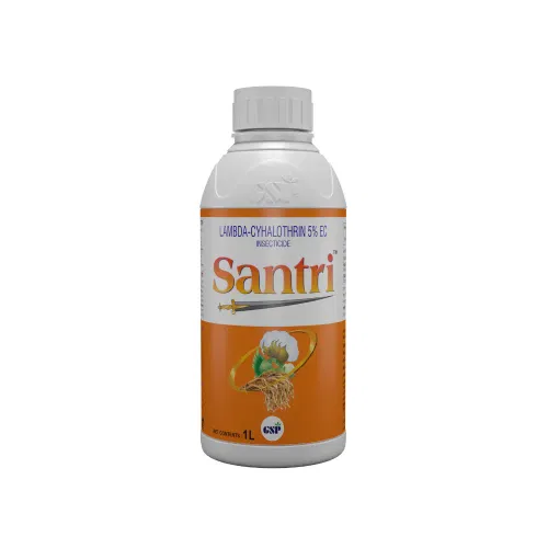Santri
