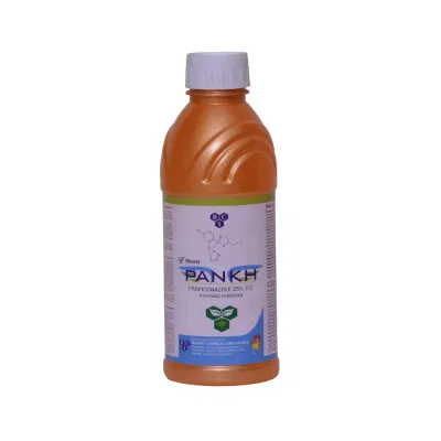 Pankh