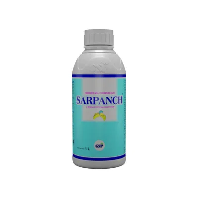 Sarpanch