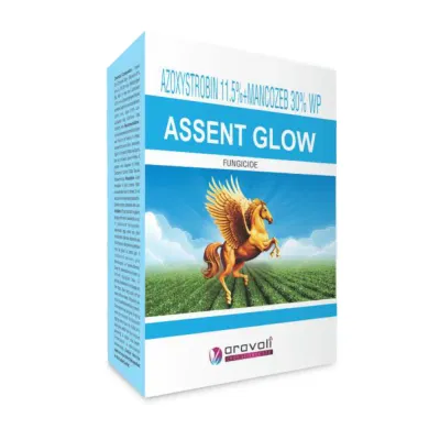 Assent Glow