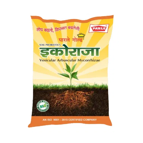 Parle Ecoraja Pouch