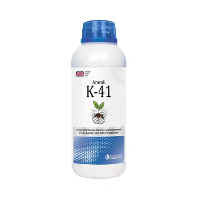 K 41