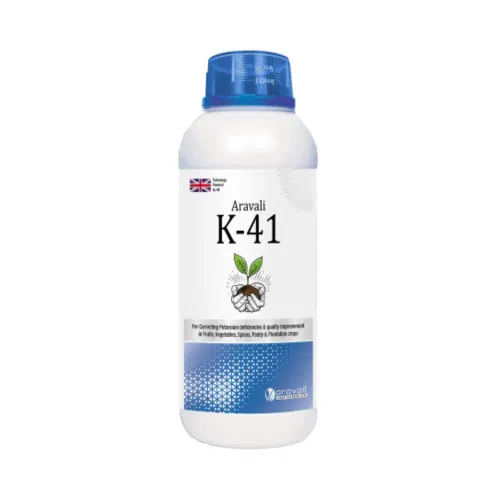K 41