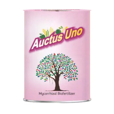 Auctus Uno