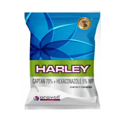 Harley