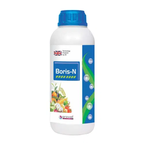 Boris-N
