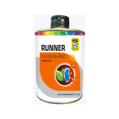 Runner