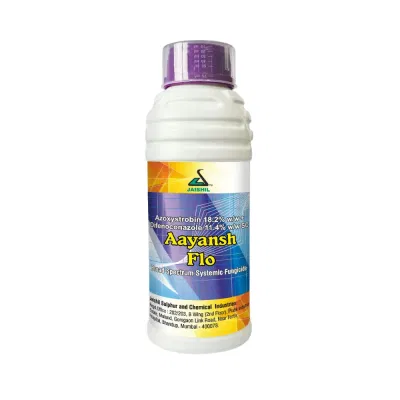 Aayansh Flo