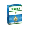 Sindica