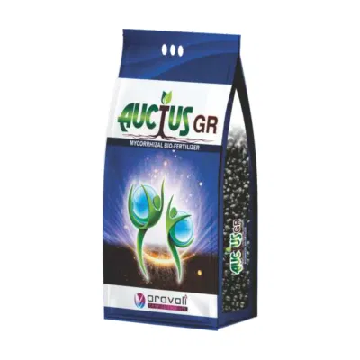 Auctus GR