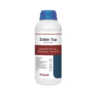 Zolbin Top