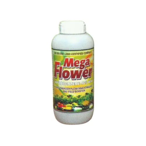Megaflower
