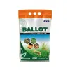 Ballot
