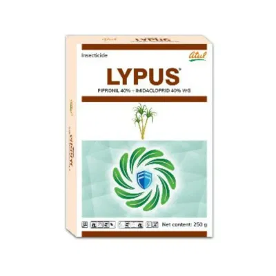 Lypus