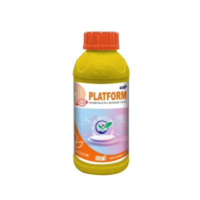 Plateform