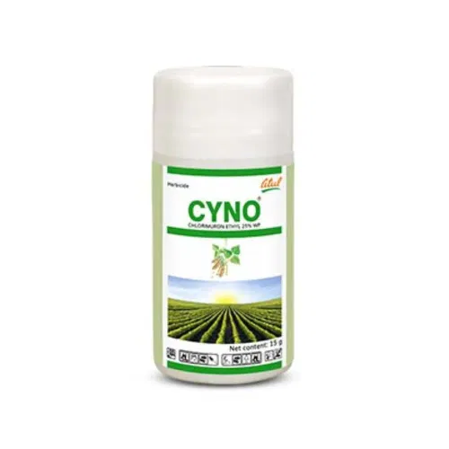 Cyno