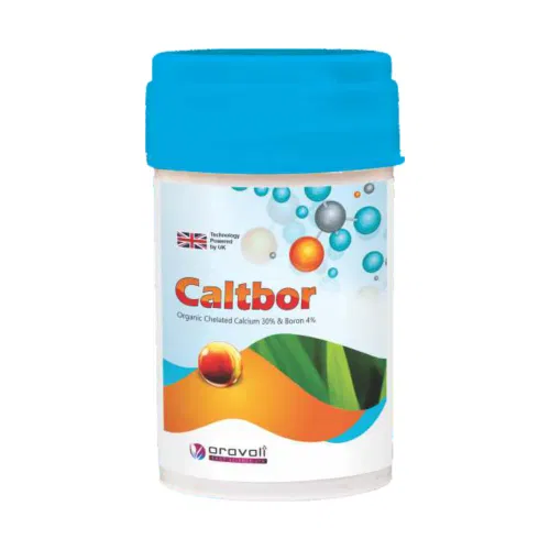 Caltbor