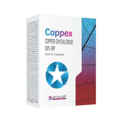 Coppex