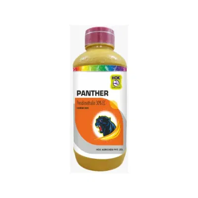 Panther ( TIN )