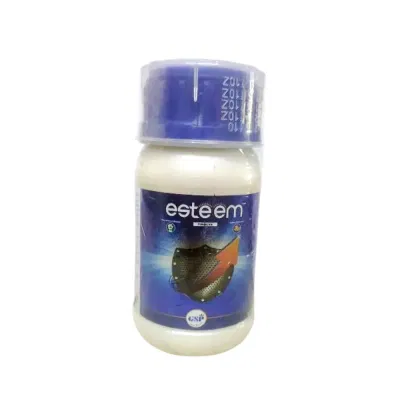 Esteem