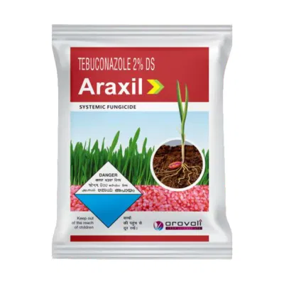 Araxil