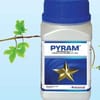 PYRAM
