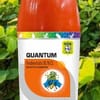 Quantum