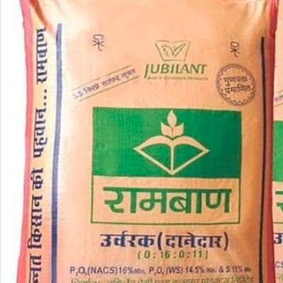 Ramban Granulated Single Super Phosphate (SSP)