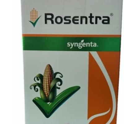 Rosentra