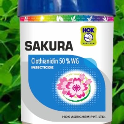 Sakura
