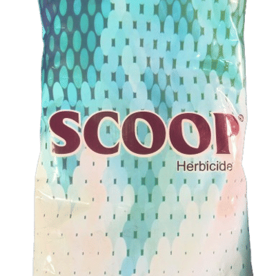 Scoop