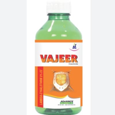 Vajeer