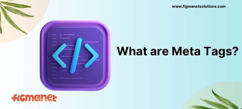 What are Meta Tags?