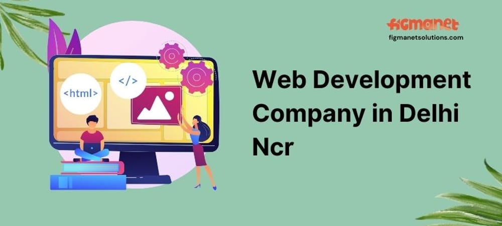 Web Development Company in Delhi Ncr