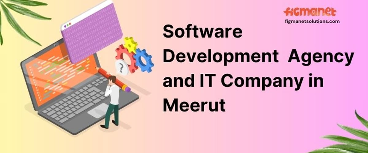 Software Development Agency and IT Company in Meerut