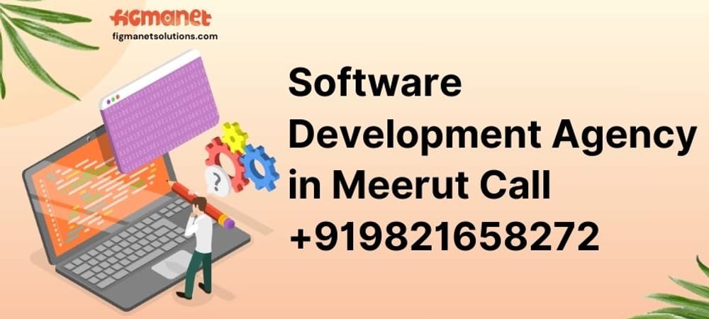 Software Development Agency in Meerut Call +919821658272