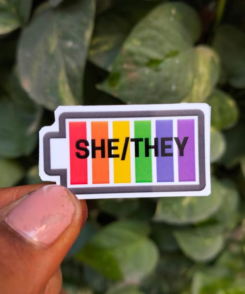 She/They Sticker 