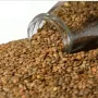 Gahat (Kulti) Dal  | 100% Organic (500gms)