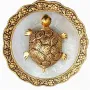 Vastu Turtle Plate