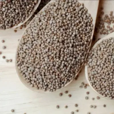 Silam सिलाम Seeds (100gm)