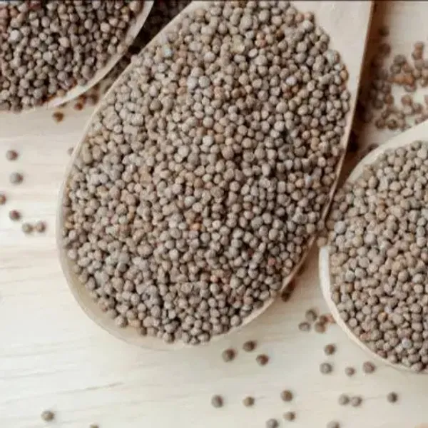 Silam सिलाम Seeds (100gm)