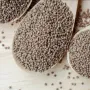 Silam सिलाम Seeds (100gm)